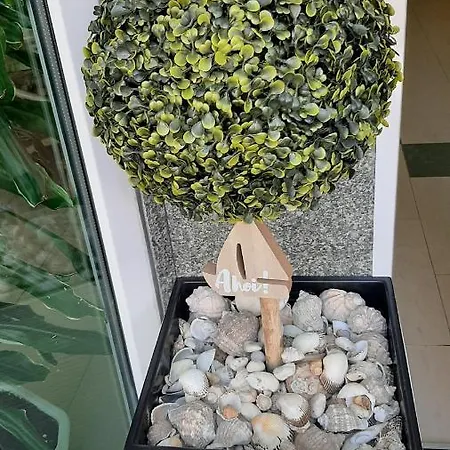 Pensión Laguna